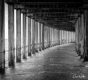 An evocative black and white photo capturing the symmetrical perspective of a wooden pier, with its rugged pillars standing guard over the pathway leading into the vanishing point, offers a detailed glimpse into the