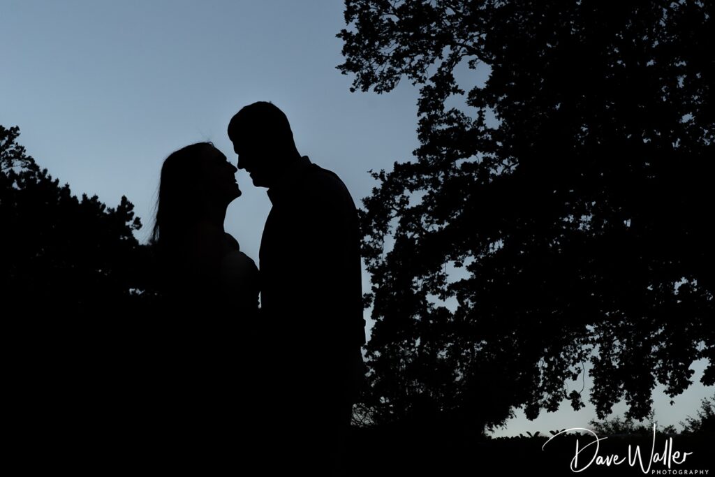 Silhouetted couple against twilight sky with trees.