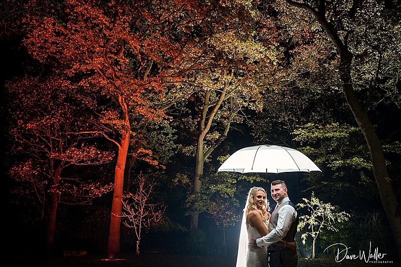 Couple with umbrella under illuminated tree at night.