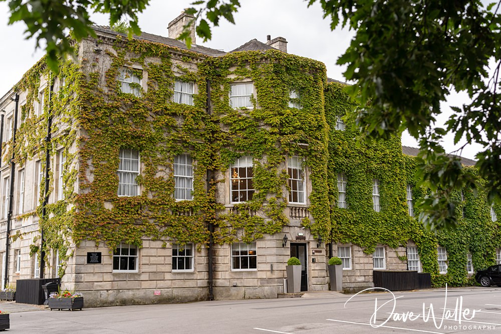 Historic building covered in green ivy